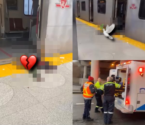 Tragic Incident at Yorkdale Station: Man Fatally Struck by Train, Line 1 Service Disrupted.